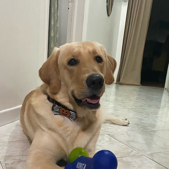 Meet your Posher, Kelly - Picture 1 of 1